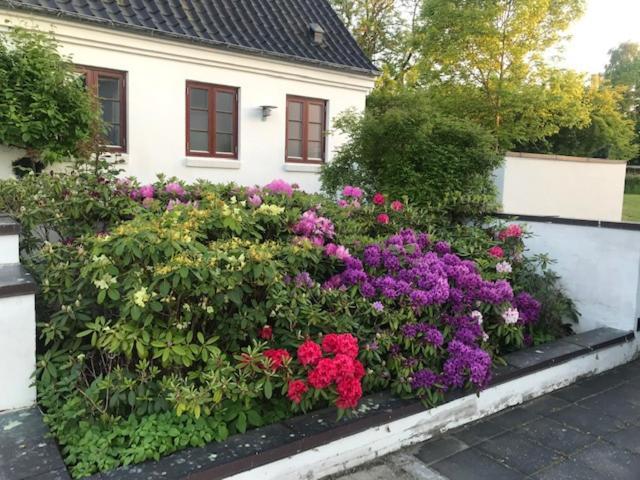 Dreamcenter Ballerup Boulevard Exterior photo